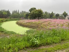 -歌斐颂巧克力小镇