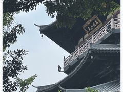 -红梅公园