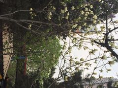 南湖公园-沈阳南湖公园