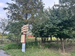 -合肥三国新城遗址公园