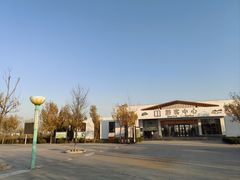 -南大港湿地风景区