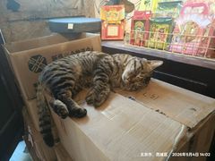 -正阳书局(西四南大街店)
