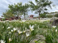-莆田南少林寺