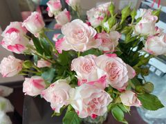 -双季花艺园艺市场(浦东店)