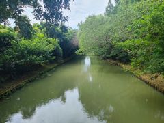 -同里国家湿地公园
