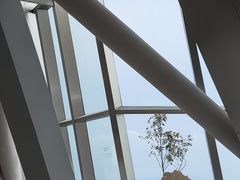 -傲廬·云端餐厅·深圳柏悦酒店