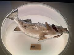 -陕西自然博物馆