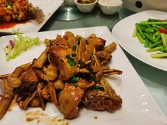 六月黄炒年糕-洋洋中餐馆·SINCE 1997(信投店)