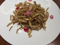 -翠湖湾海鲜音乐餐厅