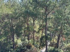 -梦姑塘文化公园