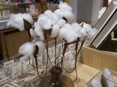 -当当书店(国泰广场店)
