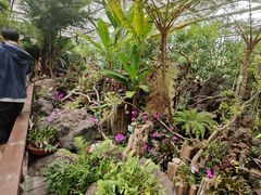 -南通洲际绿博园