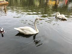 -石家庄市动物园