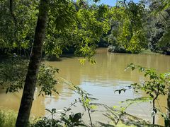 -热带雨林自然公园
