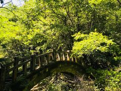 -神农架香溪源景区