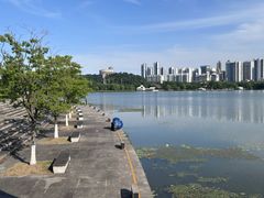 -月湖风景区