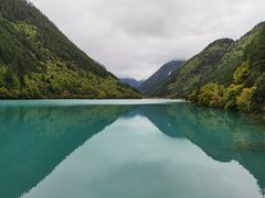-九寨沟-树正沟