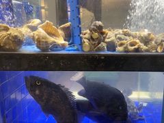-一品鲜海鲜火锅(海信广场店)