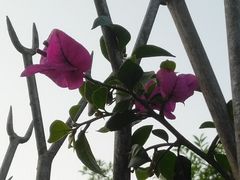 -叠溪松坪沟景区