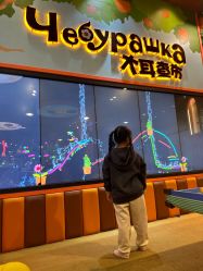 -卡通尼乐园(上海安亭店)