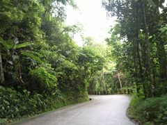 -西双版纳原始森林公园