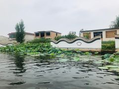 -白洋淀景区