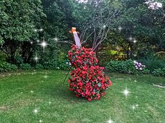 -上海共青森林公园