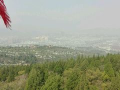 -原山国家森林公园