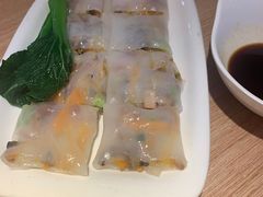 -南枝记