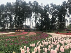 -保利石象湖景区