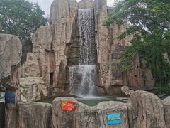 游乐设施-北京石景山游乐园