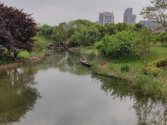 -绍兴镜湖国家城市湿地公园