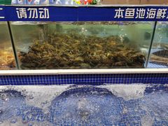 -丰卓会海鲜自助(中润大道店)