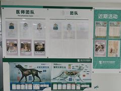 -瑞派先诺宠物医院•猫专科•普外科•中兽医(佛山院)