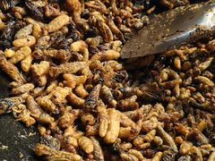 -苗族饮食文化传习所