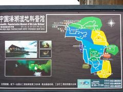 -溱湖国家湿地公园