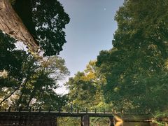 -之江大学-旧址