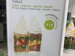 -Salud撒露欧洲冻酸奶(798艺术区店)