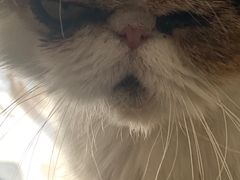 -平行世界·猫咖(首经贸店)