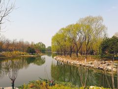 -大兴滨河森林公园