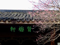-杭州植物园