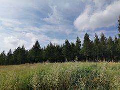 -塞罕坝国家级自然保护区