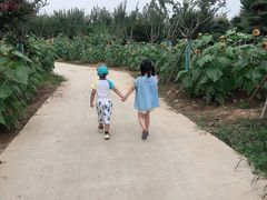 -武汉紫薇都市田园