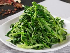 清炒鸡毛菜-白氏兄弟烧烤(尹家沟店)