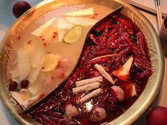 -小龙坎火锅(IFS HOT店)