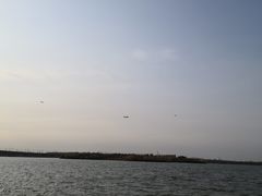 -丁香湖公园