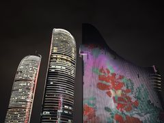 -演武大桥观景平台