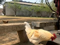 -春风习习