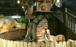 -哈尼鹿儿童乐园(兰州东瓯店)