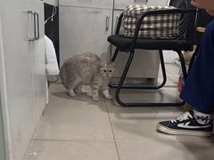 -佳雯宠物医院·皮肤科·内外科(春晓路分院)